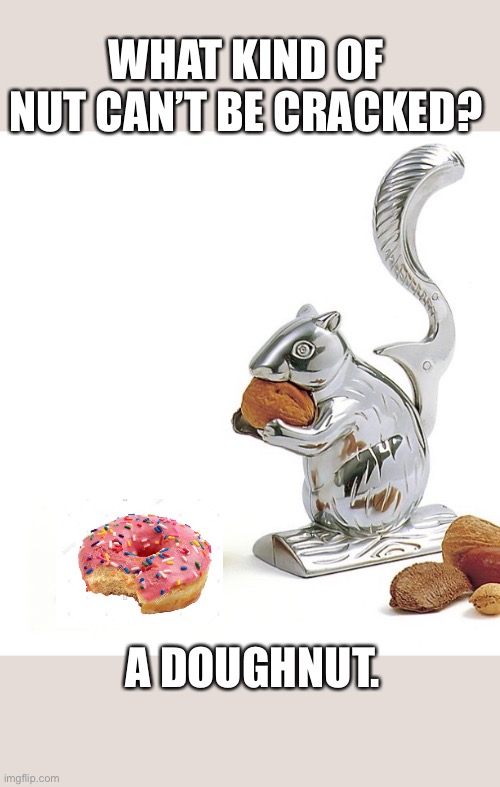 Squirrel would rather have a donut | WHAT KIND OF NUT CAN’T BE CRACKED? A DOUGHNUT. | image tagged in bad pun squirrel | made w/ Imgflip meme maker