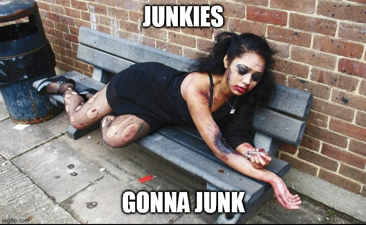 Junkie | JUNKIES GONNA JUNK | image tagged in junkie | made w/ Imgflip meme maker