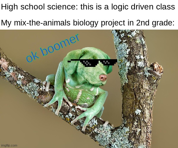 the drog will never leave my mind | High school science: this is a logic driven class; My mix-the-animals biology project in 2nd grade:; ok boomer | image tagged in stock photos,biology,science,dog,frog | made w/ Imgflip meme maker