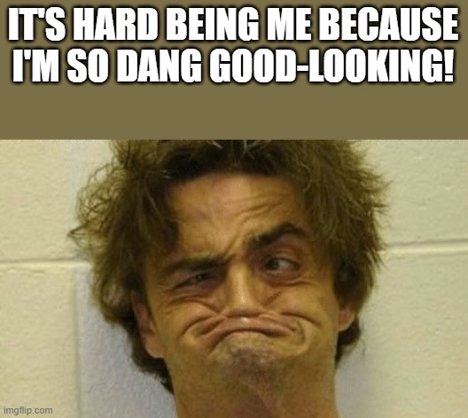 It's Hard Being Me | IT'S HARD BEING ME BECAUSE I'M SO DANG GOOD-LOOKING! | image tagged in hard,dang,good-looking,ugly,funny,wtf | made w/ Imgflip meme maker