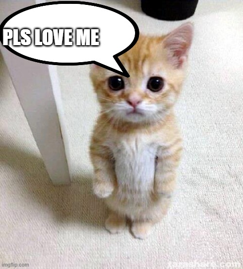 Cute Cat | PLS LOVE ME | image tagged in memes,cute cat | made w/ Imgflip meme maker