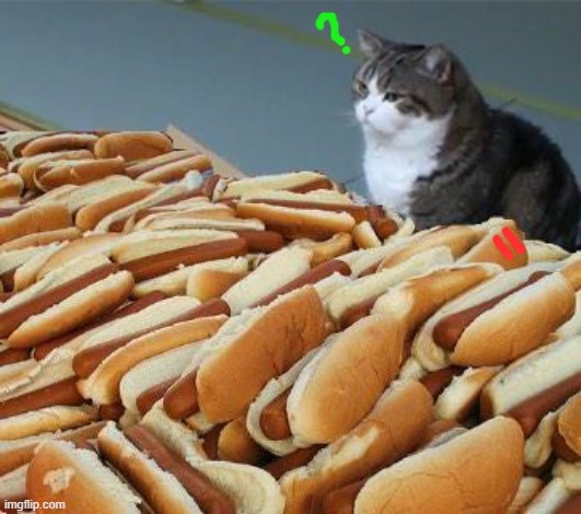 Too many hot dogs | image tagged in too many hot dogs | made w/ Imgflip meme maker