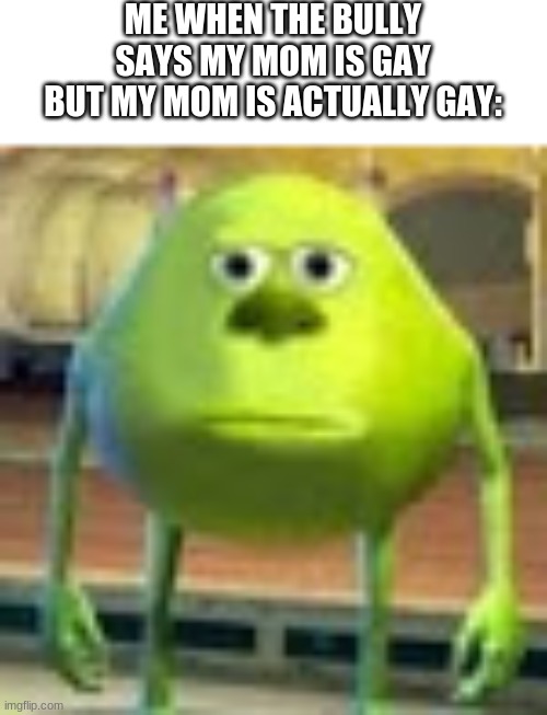 Bullies are Mean | ME WHEN THE BULLY SAYS MY MOM IS GAY BUT MY MOM IS ACTUALLY GAY: | image tagged in sully wazowski | made w/ Imgflip meme maker