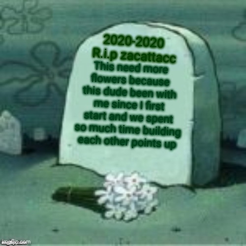 Well. Now what... | 2020-2020 
R.i.p zacattacc; This need more flowers because this dude been with me since I first start and we spent so much time building each other points up | image tagged in here lies x | made w/ Imgflip meme maker