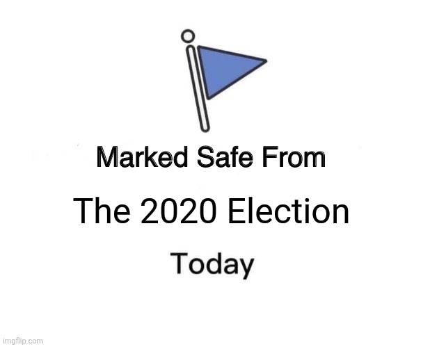 Safe from 2020 election | The 2020 Election | image tagged in memes,marked safe from | made w/ Imgflip meme maker