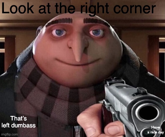 Gru Gun | Look at the right corner; That’s left dumbass; Have a nice day | image tagged in gru gun | made w/ Imgflip meme maker