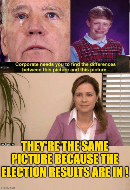 Please don't get the wrong Idea, Brian is not Crying because Joe tried to touch his pee pee. | THEY'RE THE SAME PICTURE BECAUSE THE ELECTION RESULTS ARE IN ! | image tagged in they re the same thing,bad luck brian cry,crying joe biden,biden crime family | made w/ Imgflip meme maker