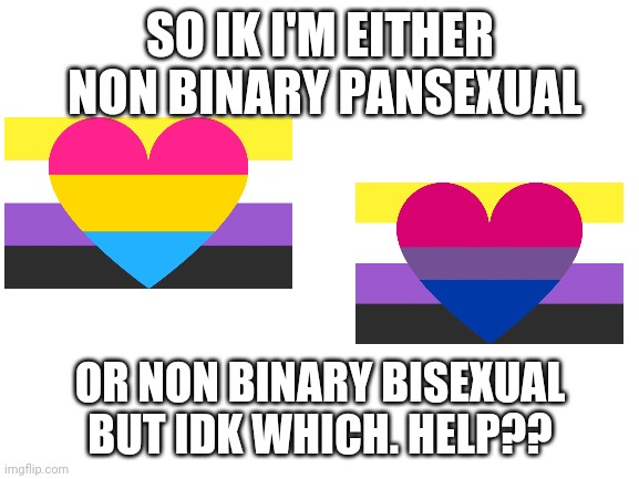 Help idk which I am | SO IK I'M EITHER  NON BINARY PANSEXUAL; OR NON BINARY BISEXUAL BUT IDK WHICH. HELP?? | image tagged in blank white template,lgbt,lgbtq,non binary,sexuality | made w/ Imgflip meme maker