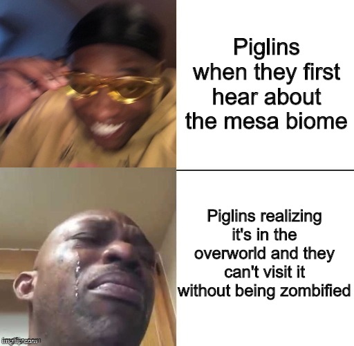 Forbidden paradise | Piglins when they first hear about the mesa biome; Piglins realizing it's in the overworld and they can't visit it without being zombified | image tagged in wearing sunglasses crying,minecraft,also posted on reddit and tumblr,piglins | made w/ Imgflip meme maker