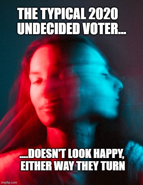 They want to go left, right? That's right, left...right? | THE TYPICAL 2020   
UNDECIDED VOTER... ....DOESN'T LOOK HAPPY,
 EITHER WAY THEY TURN | image tagged in funny memes,2020 elections,election 2020,vote,dark humor,meanwhile on imgflip | made w/ Imgflip meme maker