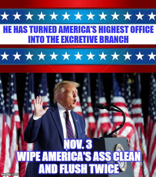 This country needs an enema | HE HAS TURNED AMERICA'S HIGHEST OFFICE
INTO THE EXCRETIVE BRANCH; NOV. 3
 WIPE AMERICA'S ASS CLEAN
 AND FLUSH TWICE | image tagged in memes,trump,excretive,flush,wipe | made w/ Imgflip meme maker