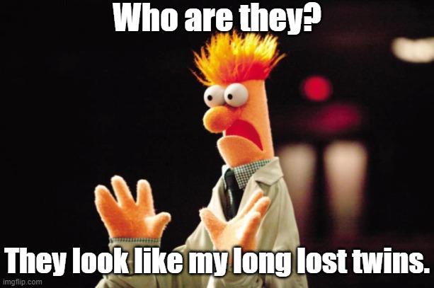 Beaker Freak Out | Who are they? They look like my long lost twins. | image tagged in beaker freak out | made w/ Imgflip meme maker