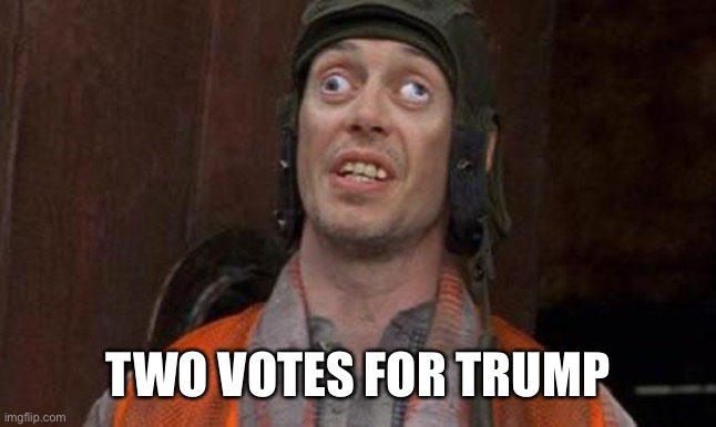 Looks Good To Me | TWO VOTES FOR TRUMP | image tagged in looks good to me | made w/ Imgflip meme maker