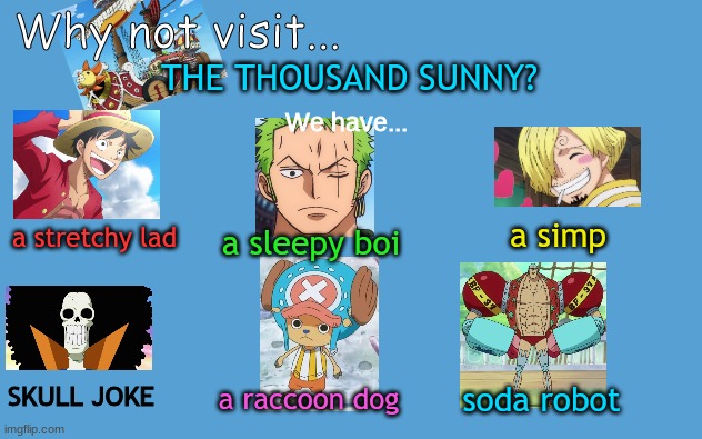 It's almost 1 am and i'm probably not going to remember making this | Why not visit... THE THOUSAND SUNNY? We have... a stretchy lad; a simp; a sleepy boi; a raccoon dog; SKULL JOKE; soda robot | image tagged in why not visit,one piece | made w/ Imgflip meme maker