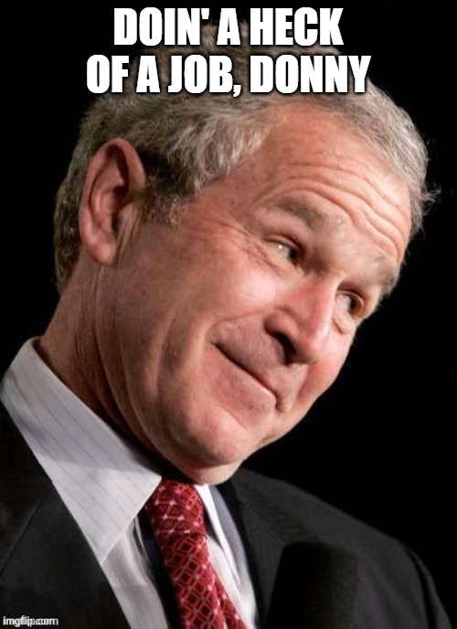 George W. Bush Blame  | DOIN' A HECK OF A JOB, DONNY | image tagged in george w bush blame | made w/ Imgflip meme maker