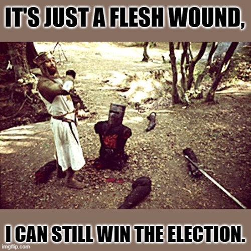 Never give up. | IT'S JUST A FLESH WOUND, I CAN STILL WIN THE ELECTION. | image tagged in black knight | made w/ Imgflip meme maker