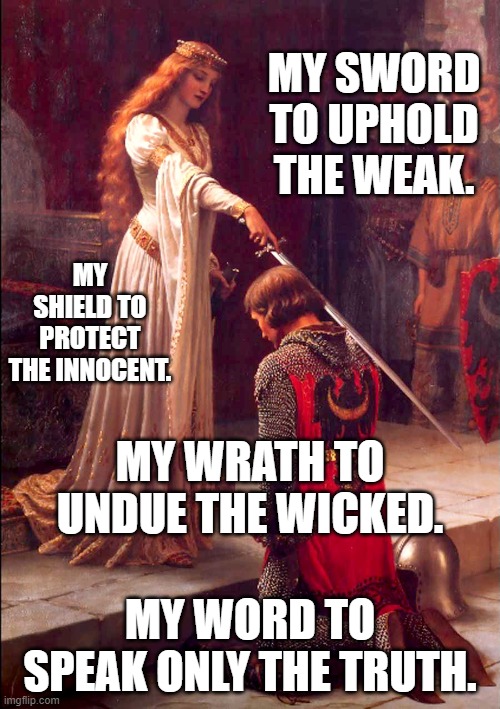 paladin's honor | MY SWORD TO UPHOLD THE WEAK. MY SHIELD TO PROTECT THE INNOCENT. MY WRATH TO UNDUE THE WICKED. MY WORD TO SPEAK ONLY THE TRUTH. | image tagged in princess granted | made w/ Imgflip meme maker