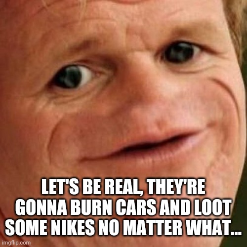 SOSIG | LET'S BE REAL, THEY'RE GONNA BURN CARS AND LOOT SOME NIKES NO MATTER WHAT... | image tagged in sosig | made w/ Imgflip meme maker