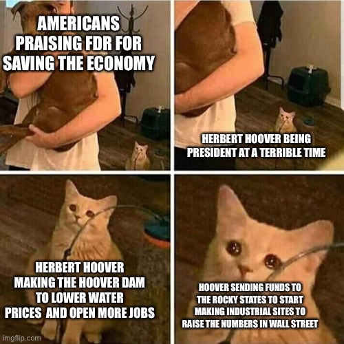 Sad Cat Holding Dog | AMERICANS PRAISING FDR FOR SAVING THE ECONOMY; HERBERT HOOVER BEING PRESIDENT AT A TERRIBLE TIME; HERBERT HOOVER MAKING THE HOOVER DAM TO LOWER WATER PRICES  AND OPEN MORE JOBS; HOOVER SENDING FUNDS TO THE ROCKY STATES TO START MAKING INDUSTRIAL SITES TO RAISE THE NUMBERS IN WALL STREET | image tagged in sad cat holding dog,HistoryMemes | made w/ Imgflip meme maker