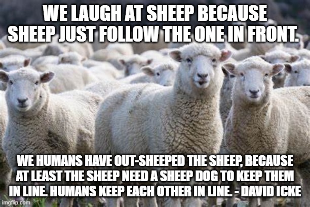 There Are Sheep On Both Sides Of The Aisle | WE LAUGH AT SHEEP BECAUSE SHEEP JUST FOLLOW THE ONE IN FRONT. WE HUMANS HAVE OUT-SHEEPED THE SHEEP, BECAUSE AT LEAST THE SHEEP NEED A SHEEP DOG TO KEEP THEM IN LINE. HUMANS KEEP EACH OTHER IN LINE. - DAVID ICKE | image tagged in dacid icke,critical thinking | made w/ Imgflip meme maker