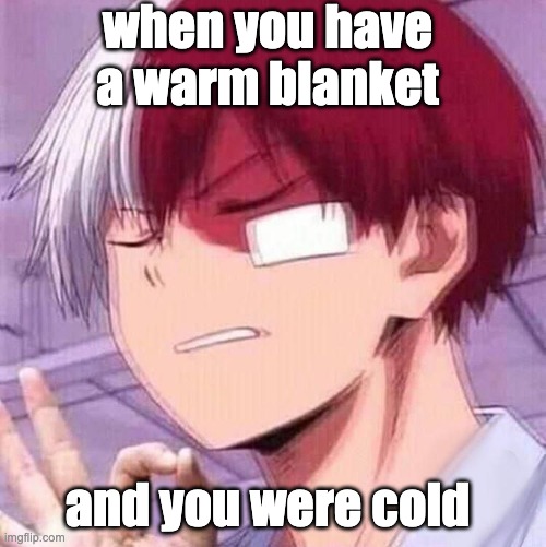 W A R M .  B L A N K E T S | when you have a warm blanket; and you were cold | image tagged in todoroki | made w/ Imgflip meme maker
