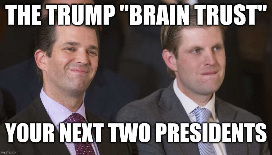 The Trump "Brain Trust" | THE TRUMP "BRAIN TRUST"; YOUR NEXT TWO PRESIDENTS | image tagged in trump,don jr,eric trump,leopard killers,embarrassments | made w/ Imgflip meme maker