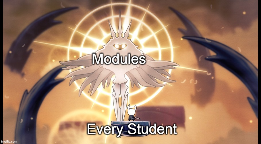 How everyone feels: | Modules; Every Student | image tagged in hollow knight radiance | made w/ Imgflip meme maker