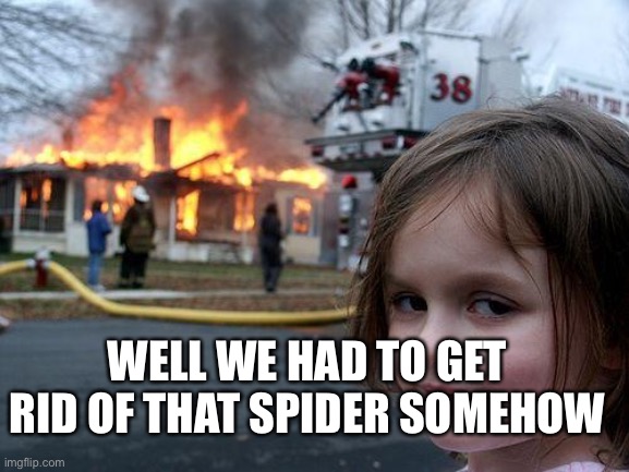 Disaster Girl Meme | WELL WE HAD TO GET RID OF THAT SPIDER SOMEHOW | image tagged in memes | made w/ Imgflip meme maker
