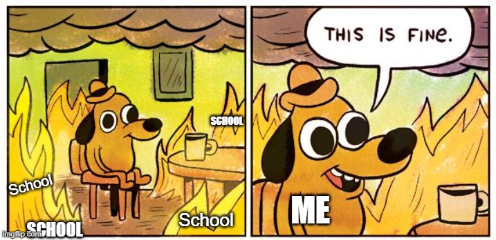 This Is Fine | SCHOOL; School; ME; School; SCHOOL | image tagged in memes,this is fine | made w/ Imgflip meme maker