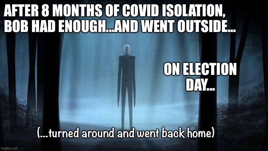 Election Day | AFTER 8 MONTHS OF COVID ISOLATION, BOB HAD ENOUGH...AND WENT OUTSIDE... ON ELECTION DAY... (...turned around and went back home) | image tagged in covid-19,election 2020 | made w/ Imgflip meme maker