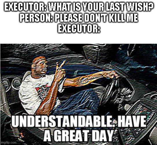 UNDERSTANDABLE, HAVE A GREAT DAY | EXECUTOR: WHAT IS YOUR LAST WISH?
PERSON: PLEASE DON'T KILL ME
EXECUTOR: | image tagged in understandable have a great day | made w/ Imgflip meme maker