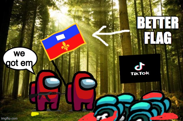 Battle of Beijing (cuz tiktok was made from china says wikipedia) | BETTER FLAG; we got em | image tagged in sunlit forest | made w/ Imgflip meme maker