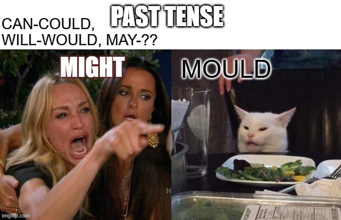 Woman Yelling At Cat | PAST TENSE; CAN-COULD, WILL-WOULD, MAY-?? MIGHT; MOULD | image tagged in memes,woman yelling at cat | made w/ Imgflip meme maker