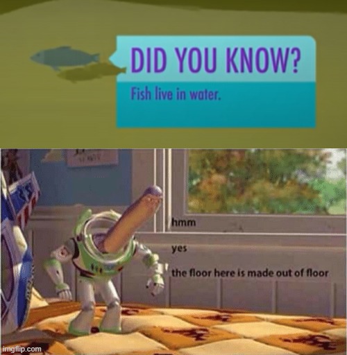 did you know this? | image tagged in hmm yes the floor here is made out of floor | made w/ Imgflip meme maker