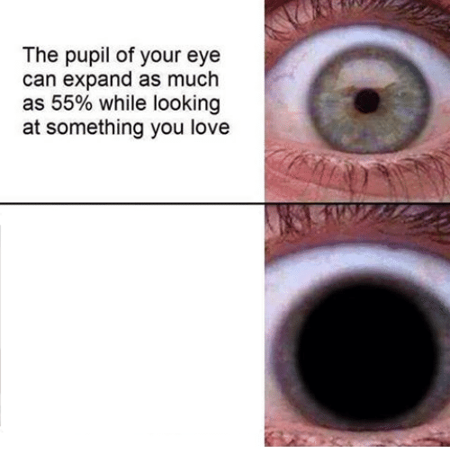 the pupil of your eye can expand Blank Meme Template