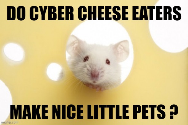 DO CYBER CHEESE EATERS; MAKE NICE LITTLE PETS ? | made w/ Imgflip meme maker