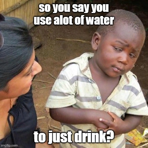 Third World Skeptical Kid Meme | so you say you use alot of water to just drink? | image tagged in memes,third world skeptical kid | made w/ Imgflip meme maker
