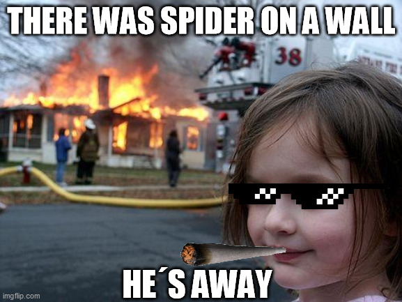 Disaster Girl | THERE WAS SPIDER ON A WALL; HE´S AWAY | image tagged in memes,disaster girl | made w/ Imgflip meme maker