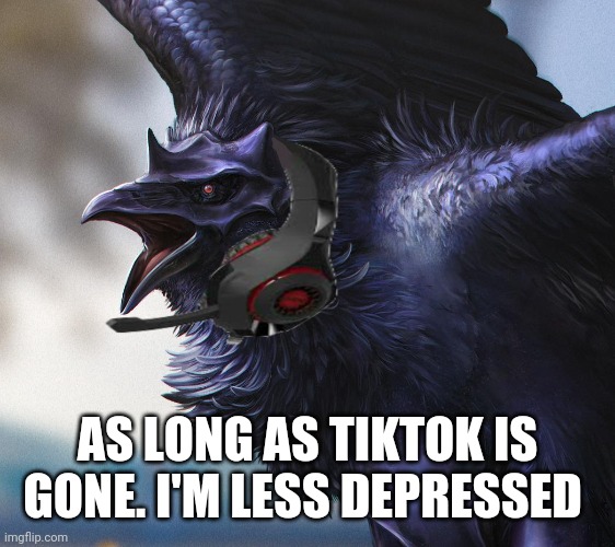 AS LONG AS TIKTOK IS GONE. I'M LESS DEPRESSED | image tagged in realistic dj corviknight | made w/ Imgflip meme maker