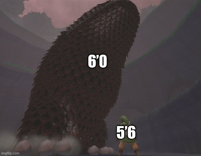 Height | 6’0; 5’6 | image tagged in legend of zelda | made w/ Imgflip meme maker