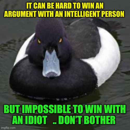 For those of us that live burdened by reality.. surrounded by those that don’t. | IT CAN BE HARD TO WIN AN ARGUMENT WITH AN INTELLIGENT PERSON; BUT IMPOSSIBLE TO WIN WITH AN IDIOT   .. DON’T BOTHER | image tagged in angry advice mallard,idiots,argument,time wasted,stupid people | made w/ Imgflip meme maker