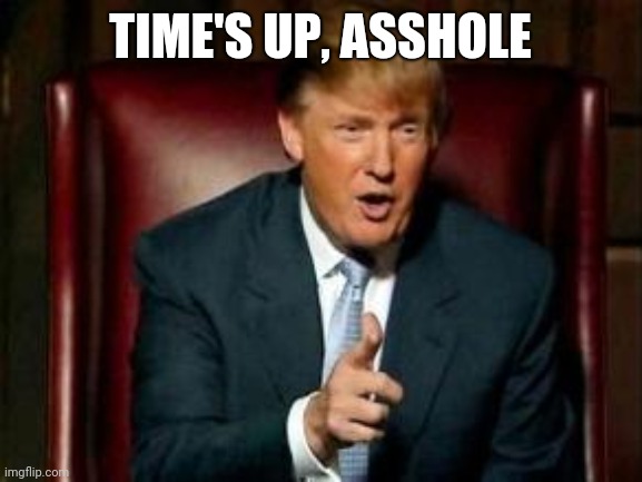 Sayonara, bitch | TIME'S UP, ASSHOLE | image tagged in dump trump,donald trump you're fired | made w/ Imgflip meme maker