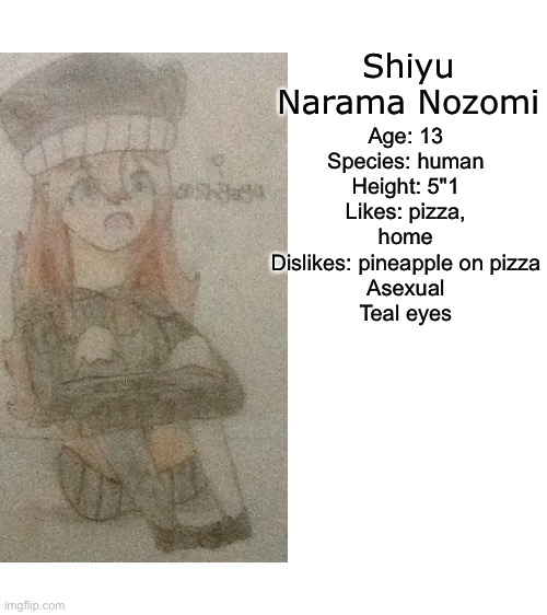 Main OC showcase. | Shiyu Narama Nozomi; Age: 13
Species: human
Height: 5"1
Likes: pizza, home
Dislikes: pineapple on pizza
Asexual
Teal eyes | image tagged in blank white template | made w/ Imgflip meme maker
