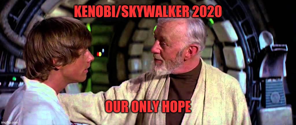 Kenobi Larger World | KENOBI/SKYWALKER 2020; OUR ONLY HOPE | image tagged in kenobi larger world | made w/ Imgflip meme maker