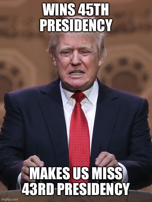 Donald Trump | WINS 45TH PRESIDENCY MAKES US MISS 43RD PRESIDENCY | image tagged in donald trump | made w/ Imgflip meme maker
