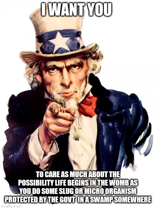 Uncle Sam | I WANT YOU; TO CARE AS MUCH ABOUT THE POSSIBILITY LIFE BEGINS IN THE WOMB AS YOU DO SOME SLUG OR MICRO ORGANISM PROTECTED BY THE GOVT  IN A SWAMP SOMEWHERE | image tagged in memes,uncle sam | made w/ Imgflip meme maker