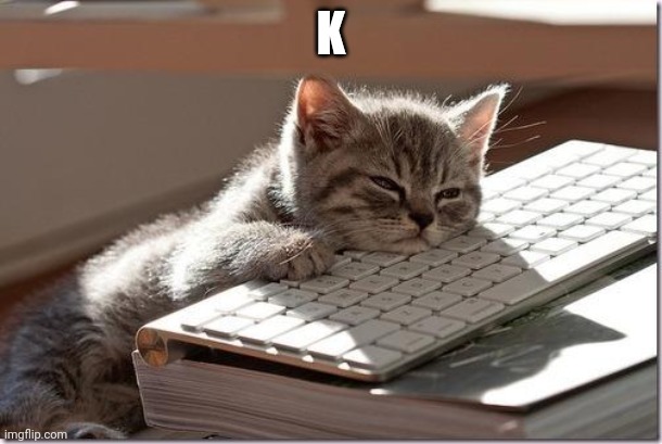 Bored Keyboard Cat | K | image tagged in bored keyboard cat | made w/ Imgflip meme maker