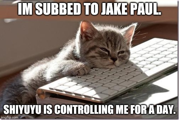 sub 2 pewds. | IM SUBBED TO JAKE PAUL. SHIYUYU IS CONTROLLING ME FOR A DAY. | image tagged in bored keyboard cat | made w/ Imgflip meme maker