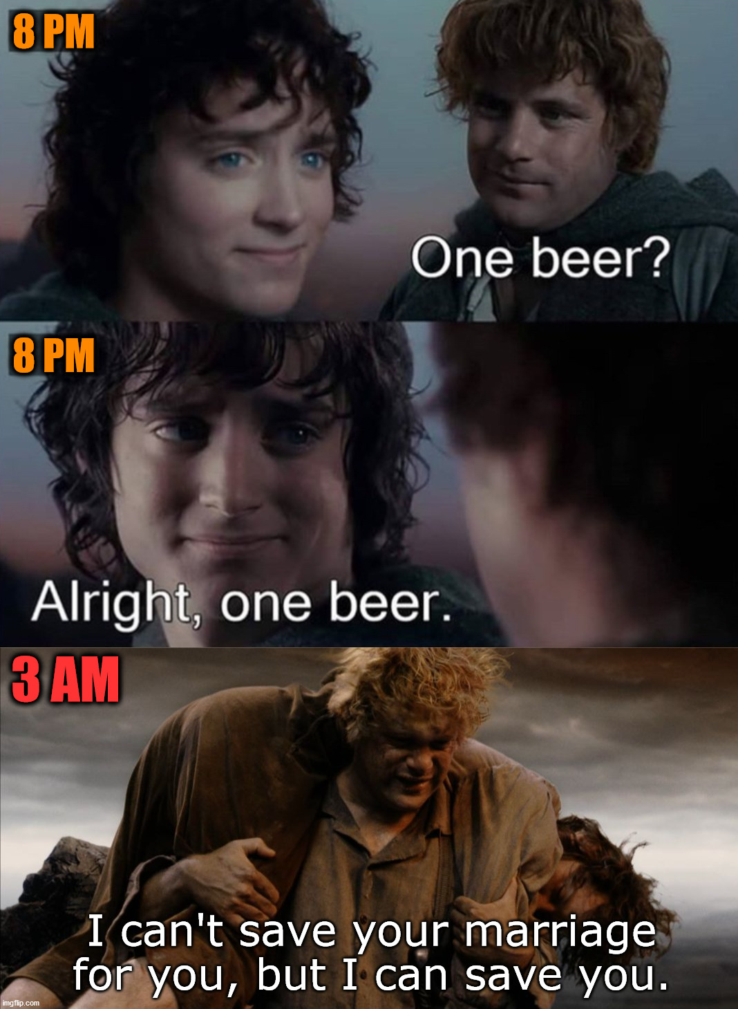 Me and my best friend every time we have 1 beer. |  8 PM; 8 PM; 3 AM; I can't save your marriage for you, but I can save you. | image tagged in sam and frodo,hold my beer,frodo,sam,carry on | made w/ Imgflip meme maker
