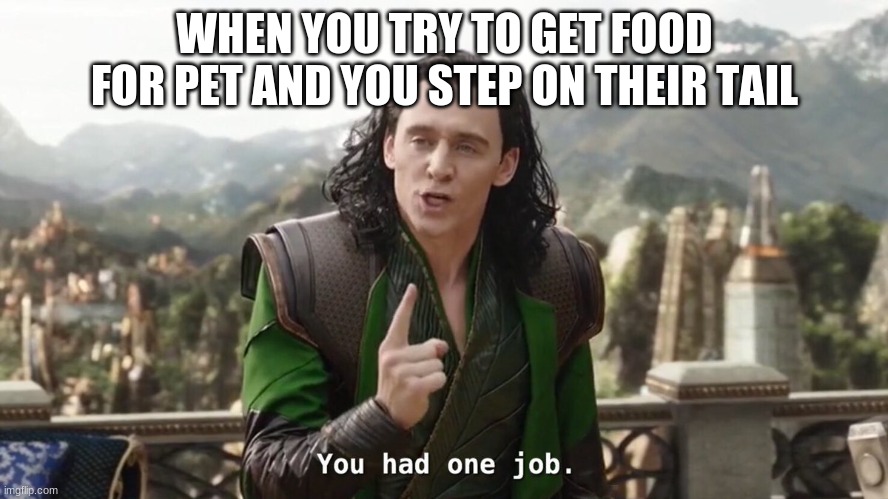 You had one job. Just the one | WHEN YOU TRY TO GET FOOD FOR PET AND YOU STEP ON THEIR TAIL | image tagged in you had one job just the one | made w/ Imgflip meme maker